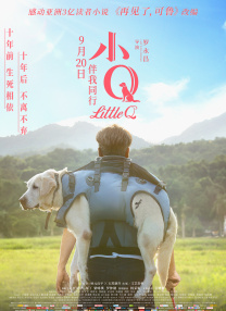 香蕉视频在线观看免费国产婷婷